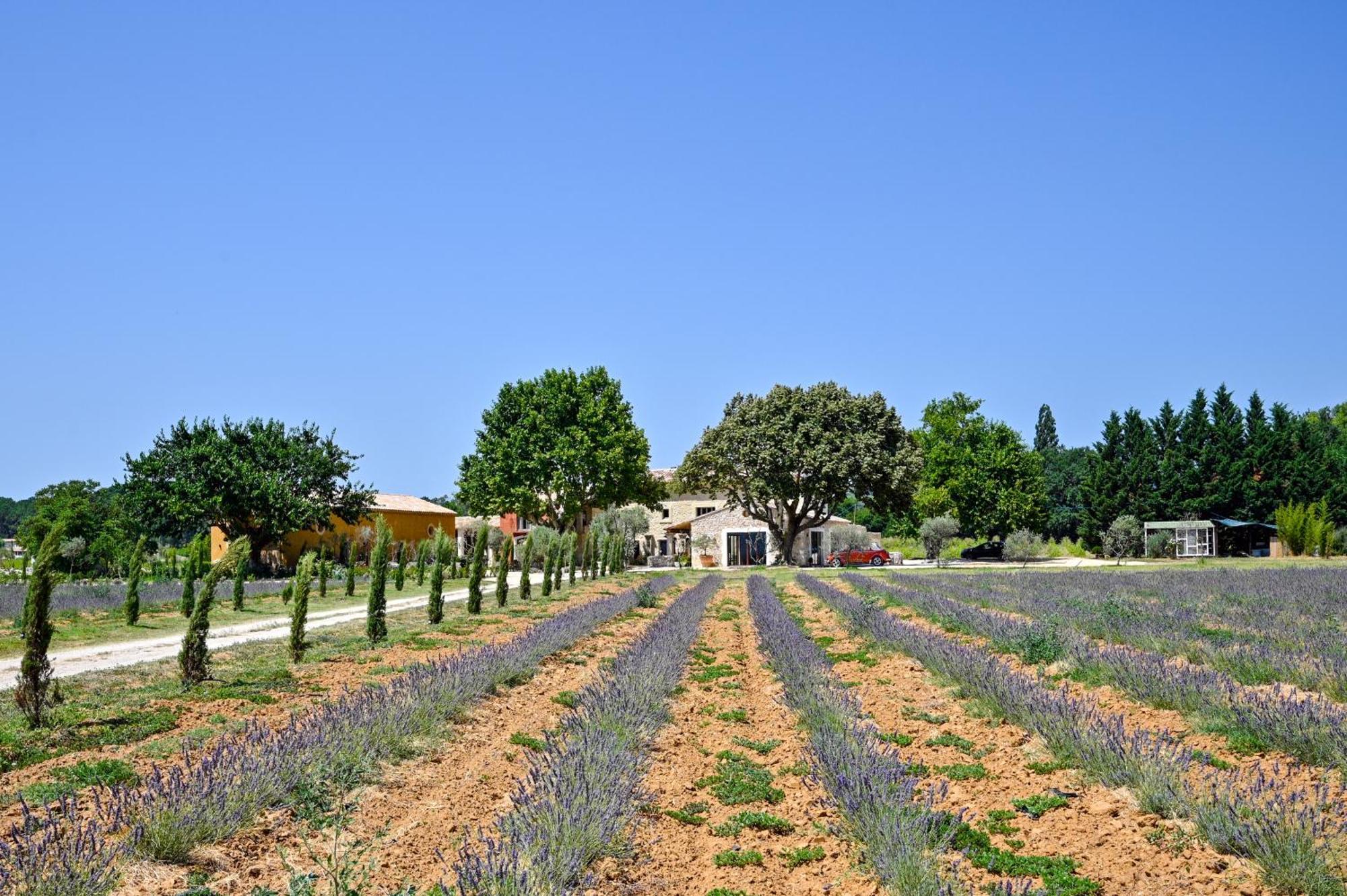 Villa Domaine D'Egenia Roussillon en Isere Esterno foto