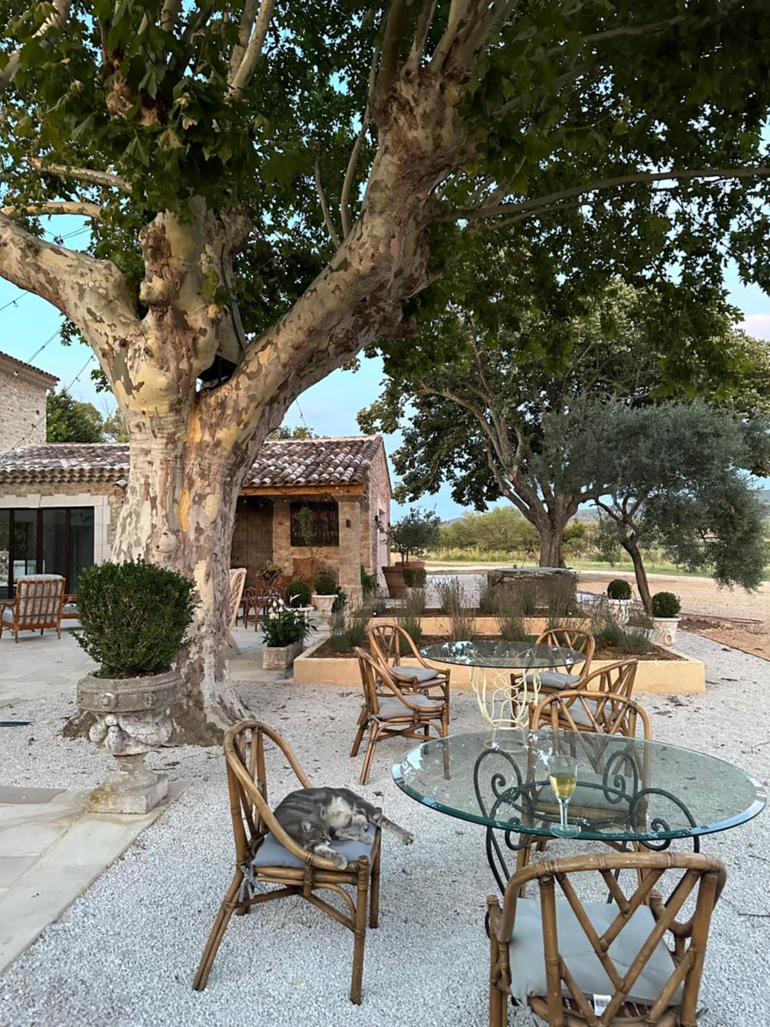Villa Domaine D'Egenia Roussillon en Isere Esterno foto